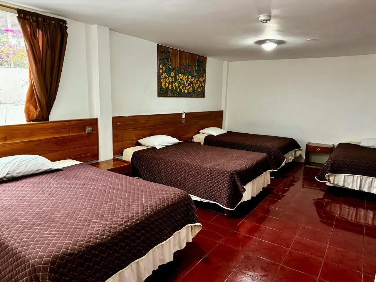 *** Pensión Hostal Muyuyo Puerto Ayora  Ecuador